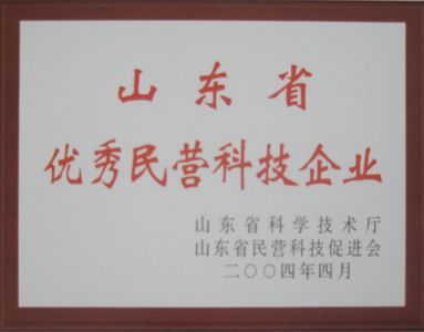 山東省優秀民營科技企業